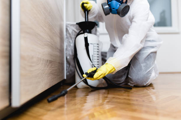 Professional Pest Control in Shawneeland, VA
