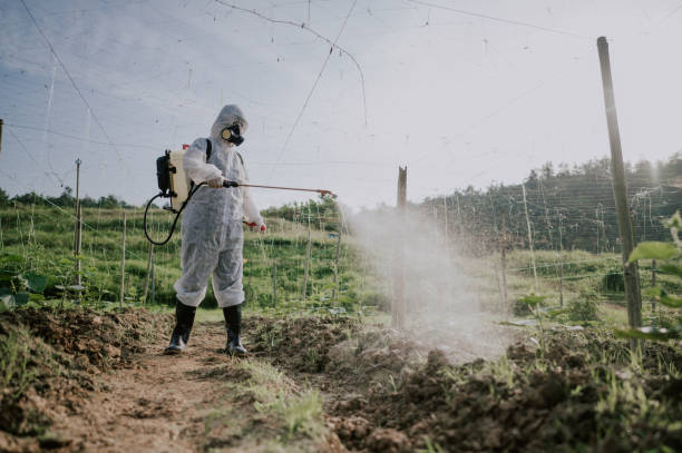 Best Pest Control Cost  in Shawneeland, VA