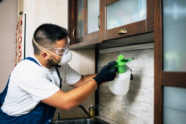 Best Pest Control Near Me in Shawneeland, VA