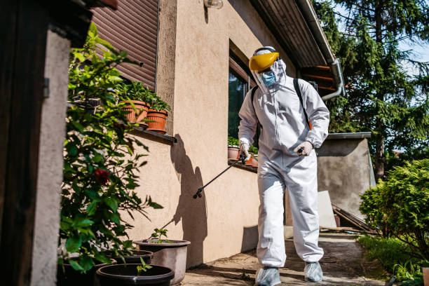 Best Pest Control Near Me  in Shawneeland, VA