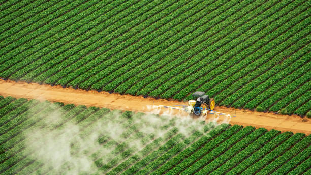 Pest Control Cost in Shawneeland, VA