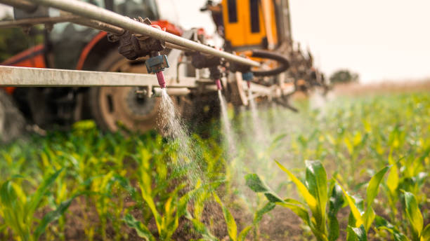 Best Mosquito Control Services  in Shawneeland, VA